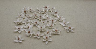 Bloemschelp