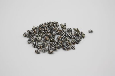Pyrene Stripe