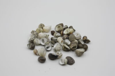 Nerite, gemengd.
