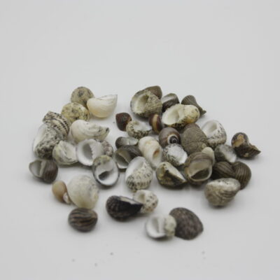 Nerite, gemengd.