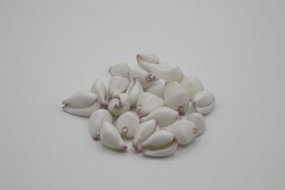 Ovulatum met lila mond