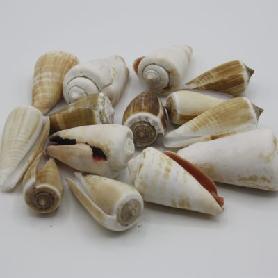 Conus mix