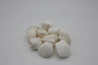 Cardium Unido