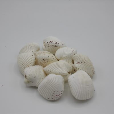 Cardium Unido