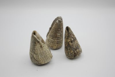 Conus Onbehandeld