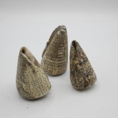 Conus Onbehandeld